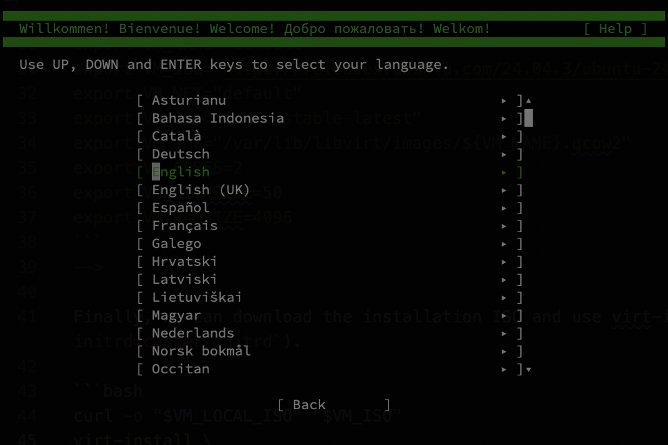 Screenshot from the Ubuntu installer