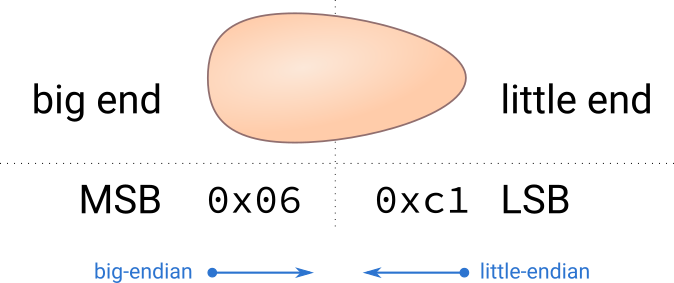 Analogy between ends of the egg and a number